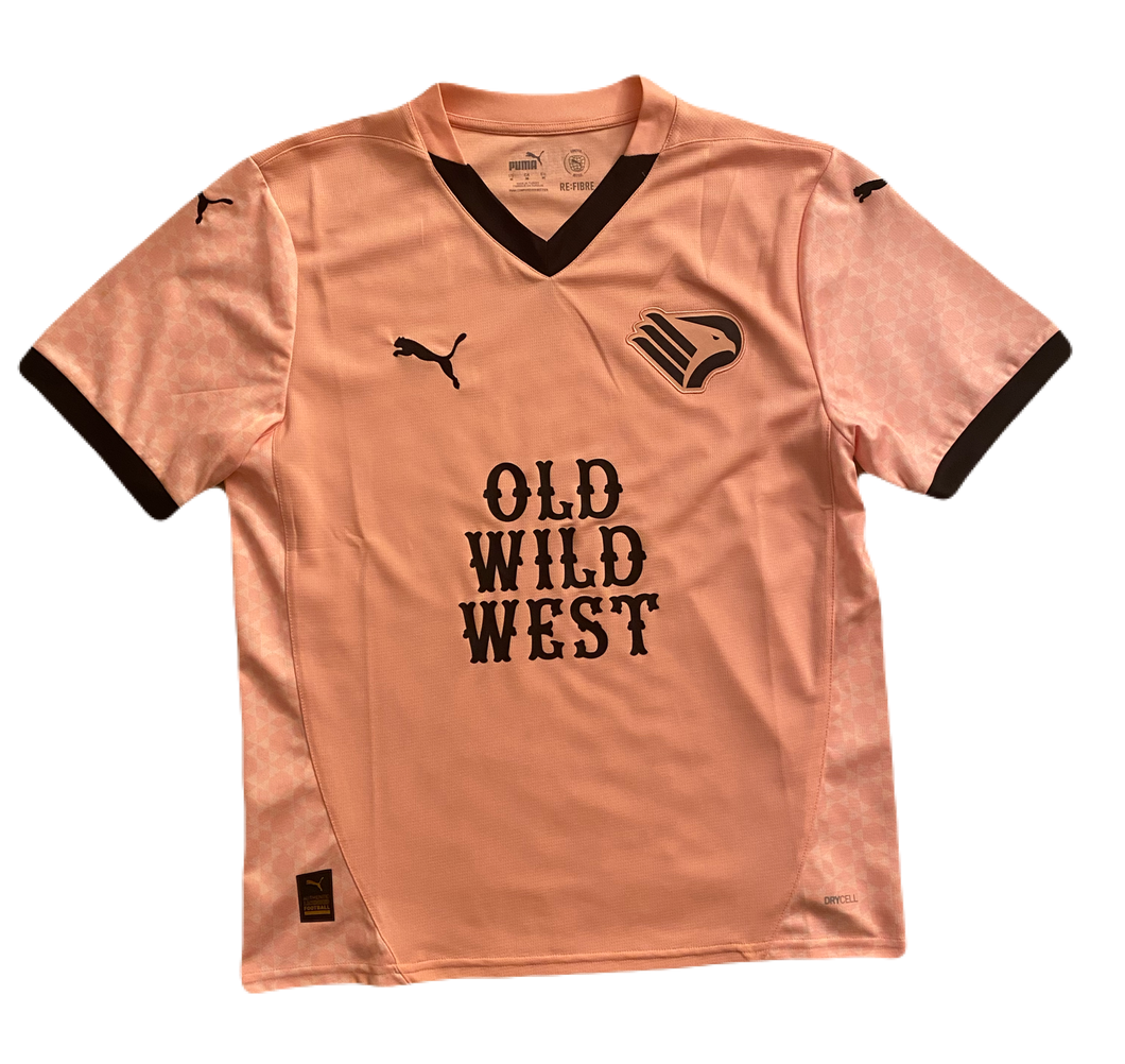Palermo 2024/25 Home (Excellent) M
