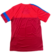 Load image into Gallery viewer, Kashima Antlers 2013 Training (Good) L
