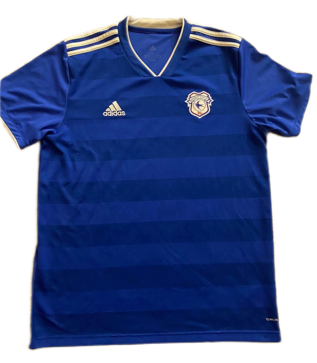 Cardiff 2018/19 Home (Good) L