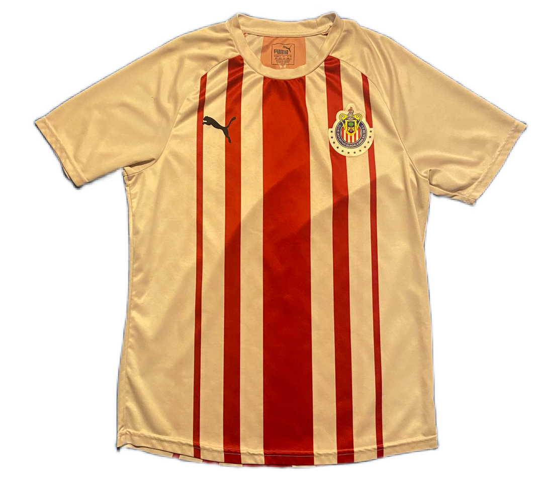 Chivas Guadalajara 2018/19 Fan Home (Good)